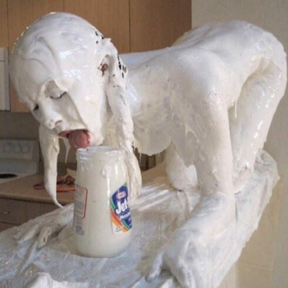 Meet your Posher, Gracie